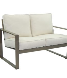 Park Place City Cushioned Loveseat