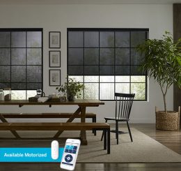 Screen Roller Shades 1