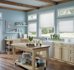 SCREEN ROLLER SHADES 5