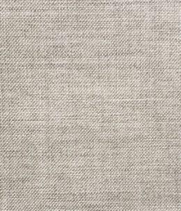 Cast Silver Cushion Fabric