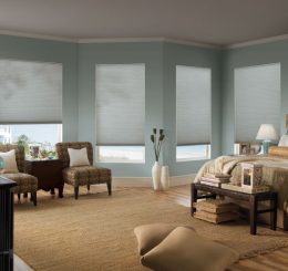 SCREEN ROLLER SHADES 6