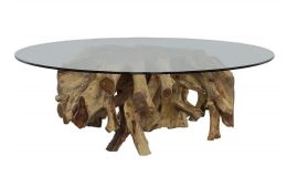 Angra Root Coffee Table